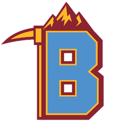 Nuggets logo